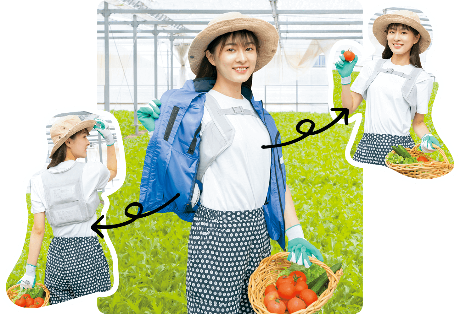 農園の画像